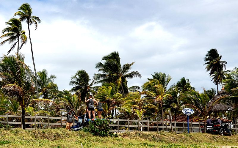 Descubra Porto de Galinhas