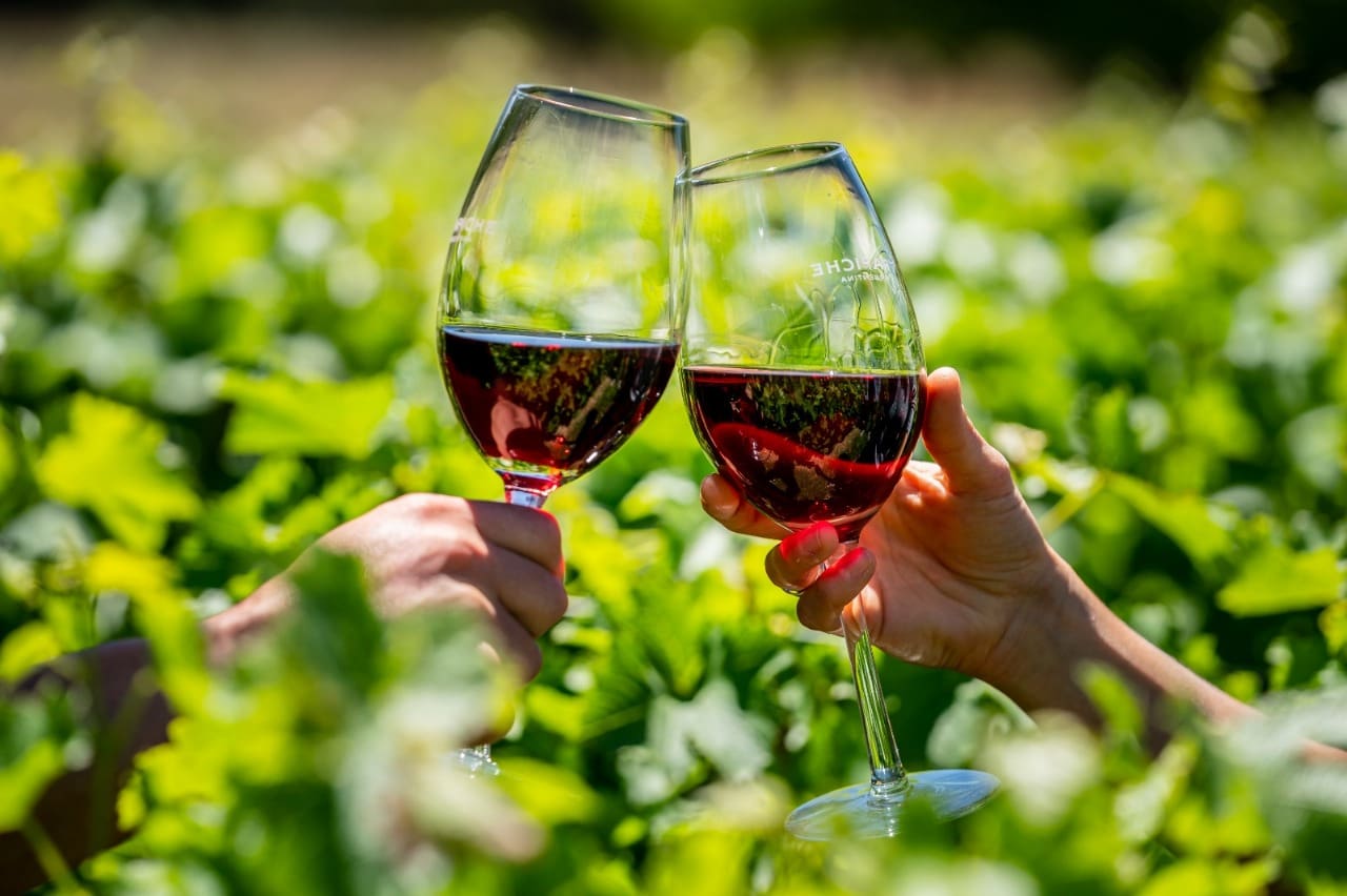 Experiências gastronômicas que encantam na Argentina