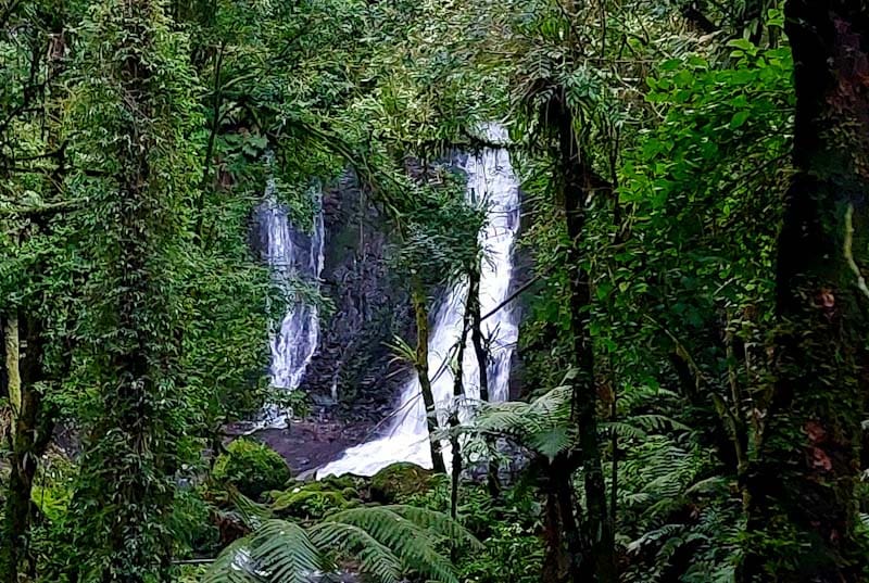 Garden Park tem cenários instagramáveis