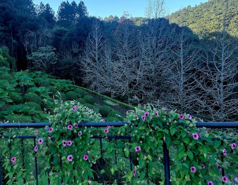 Garden Park tem cenários instagramáveis