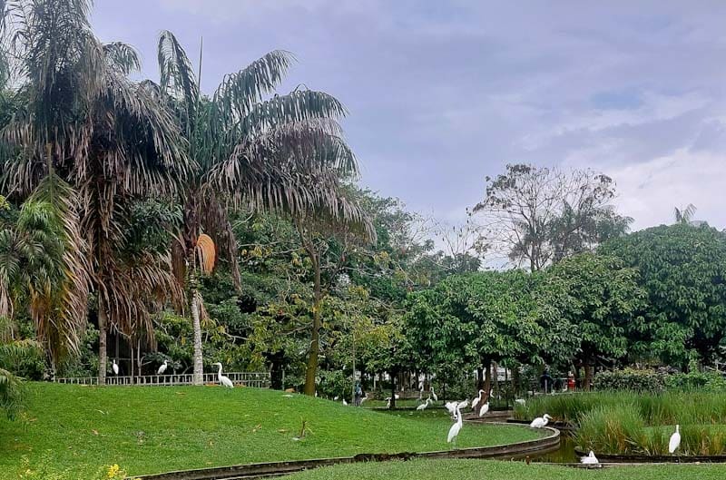 II CONGRESSO FEBTUR BELÉM - Mangal das Garças 