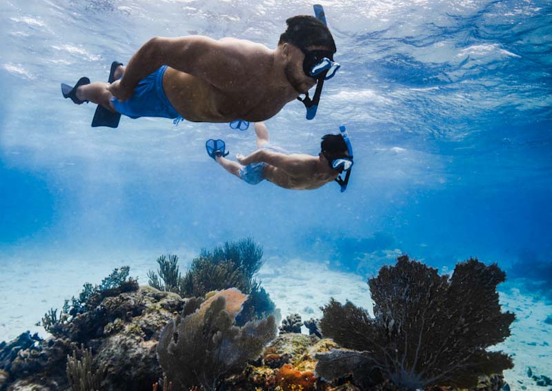 Barreira de Corais de Belize