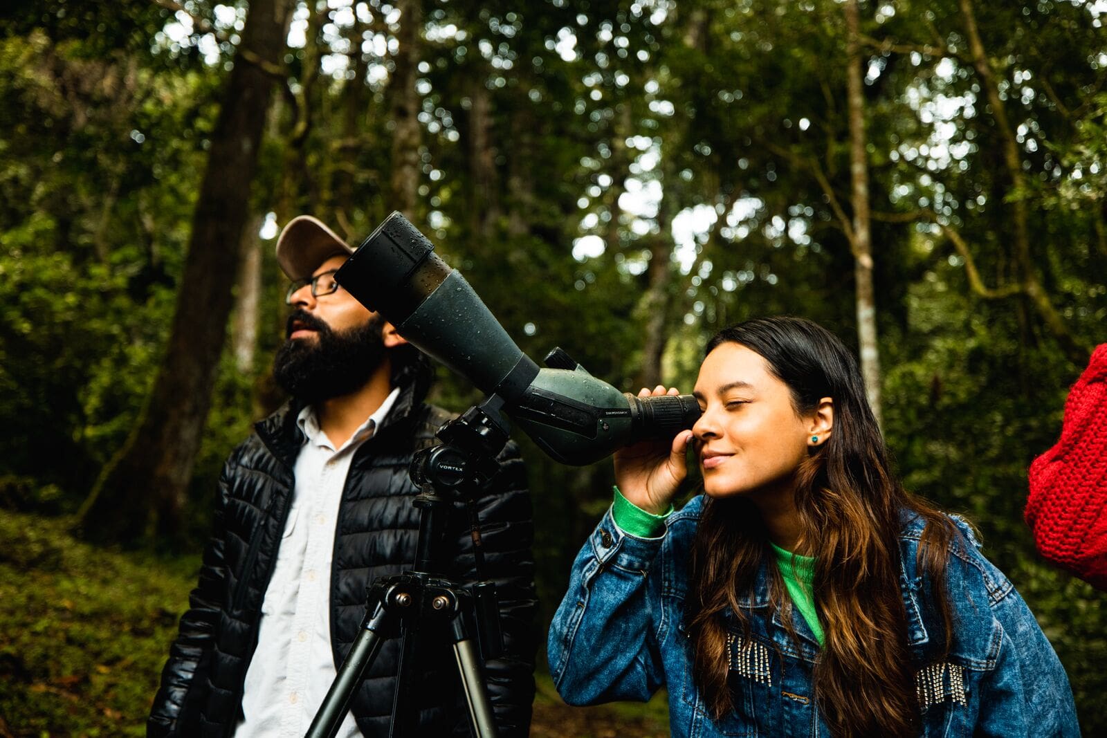 Descubra espetáculo natural impressionante no Panamá 