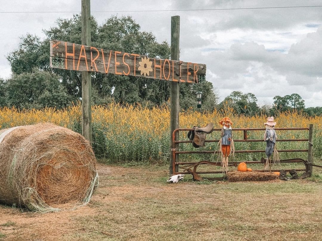 Flórida Central: Festivais de Halloween atraem famílias