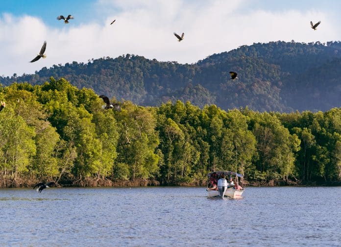 Malásia oferece turismo sustentável em florestas milenares vivas