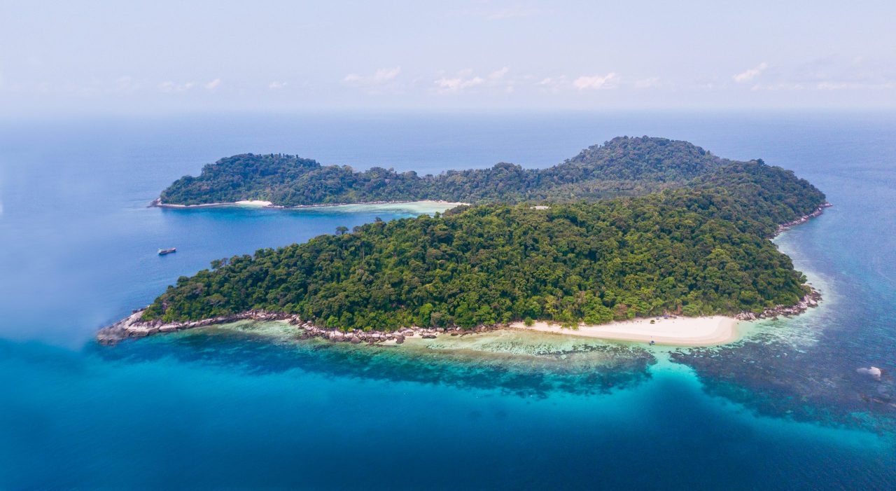 Malásia oferece turismo sustentável em florestas milenares vivas