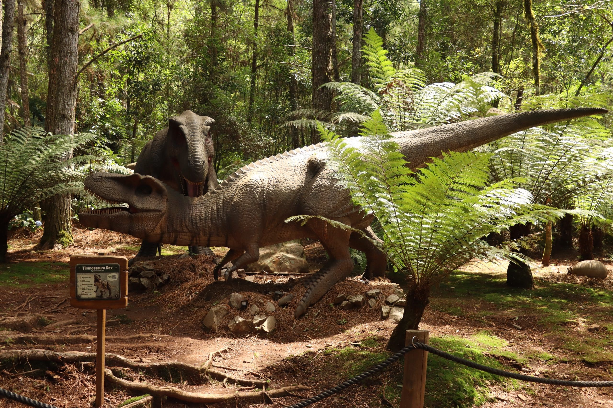 Dia das Crianças na Serra Gaúcha