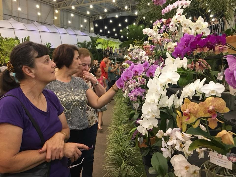 Joinville realiza 85ª Festa das Flores em novembro