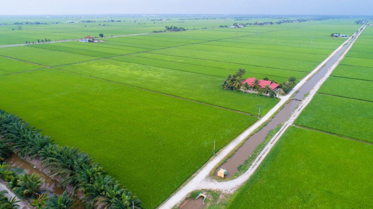 Da selva ao mar: rotas panorâmicas pela Malásia