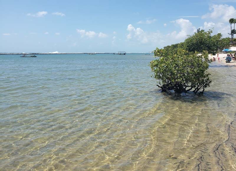 Praia de Muro Alto em Porto de Galinhas