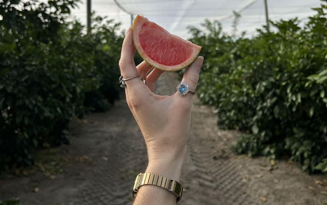 Golden Ridge Groves em Alturas, na Flórida Central