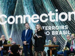 Connection Terrois celebra origens e fortalece identidade brasileira