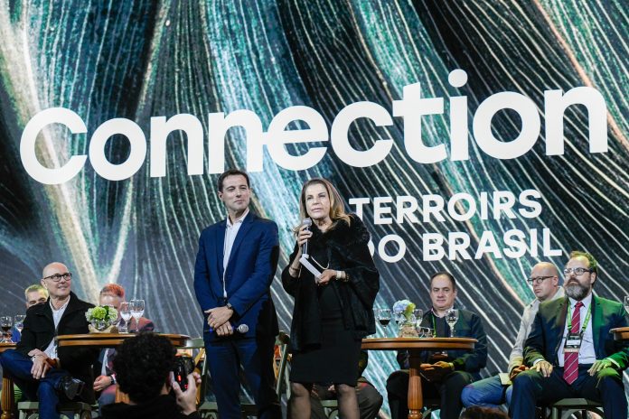 Connection Terrois celebra origens e fortalece identidade brasileira