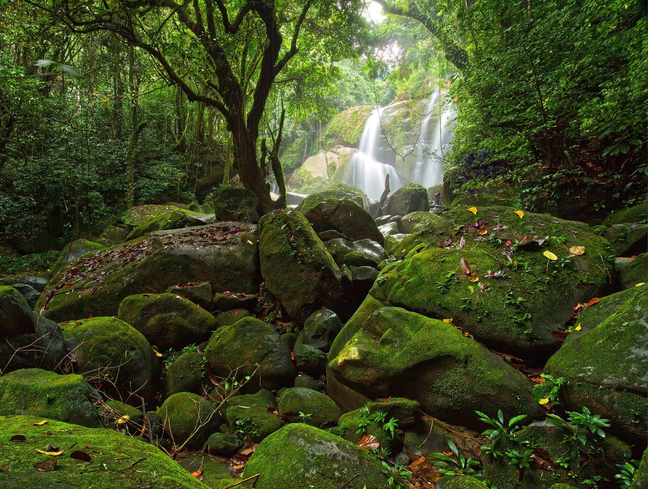 Malásia reúne florestas, cavernas e biodiversidade em experiências únicas
