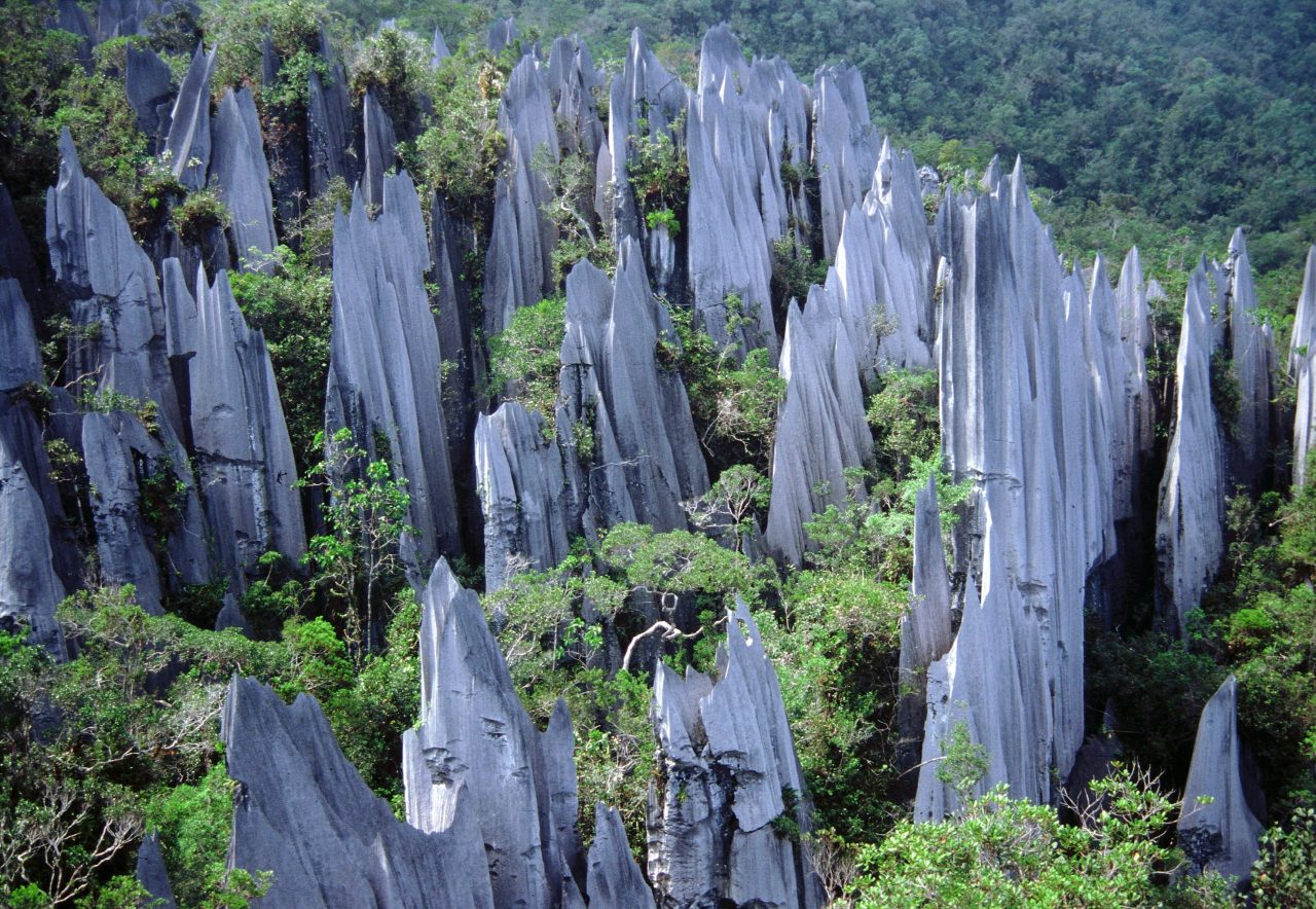 Malásia reúne florestas, cavernas e biodiversidade em experiências únicas