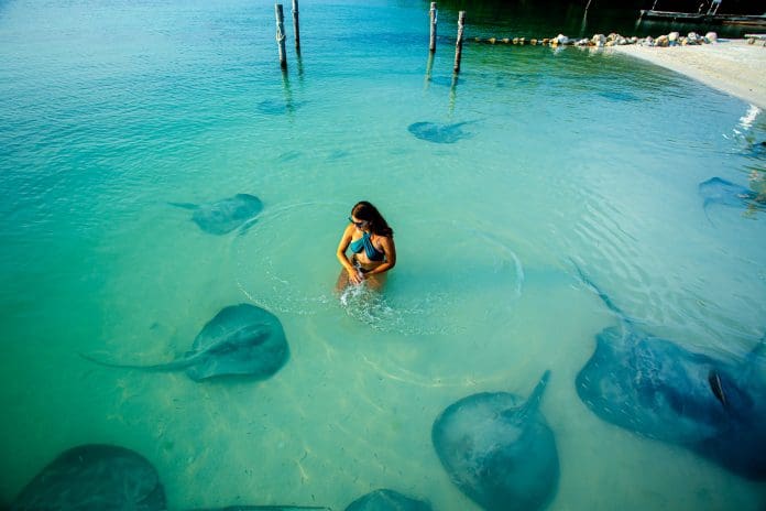 Belize: Caye Caulker transforma férias em experiências autênticas